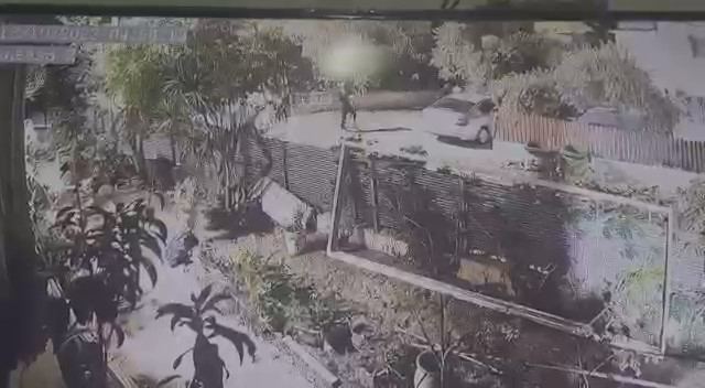 فيديو : احراق مركبة 